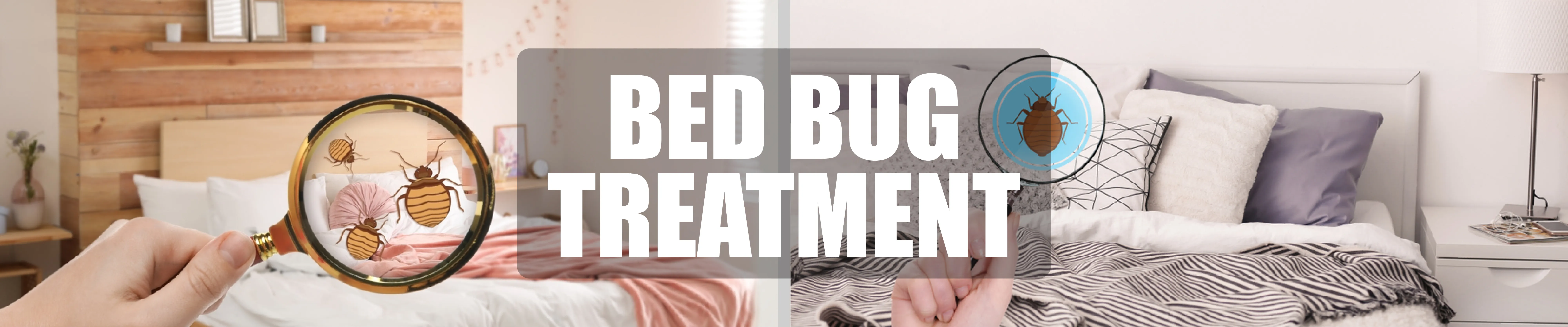 carpet cleaning in the suffolk, carpet cleaning in the suffolk, carpet cleaning the suffolk, carpet cleaners in the suffolk, carpet cleaners in the suffolk, commercial carpet cleaning, commercial carpet cleaning in the suffolk, the suffolk rug cleaners, rug cleaning services in the suffolk, same day carpet cleaning, same day rug cleaning