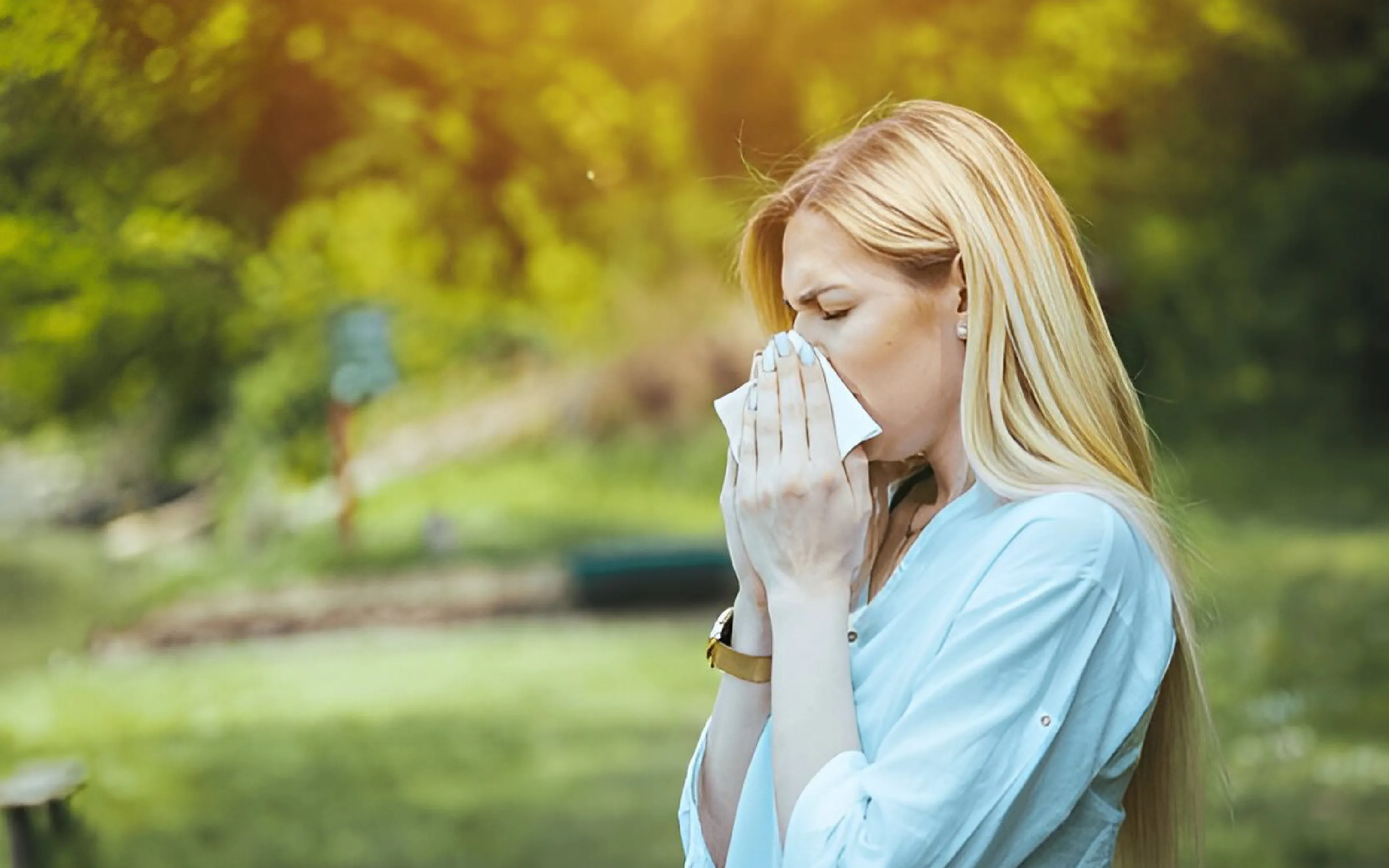 carpet cleaning in the suffolk, carpet cleaning in the suffolk, carpet cleaning the suffolk, carpet cleaners in the suffolk, carpet cleaners in the suffolk, commercial carpet cleaning, commercial carpet cleaning in the suffolk, the suffolk rug cleaners, rug cleaning services in the suffolk, same day carpet cleaning, same day rug cleaning