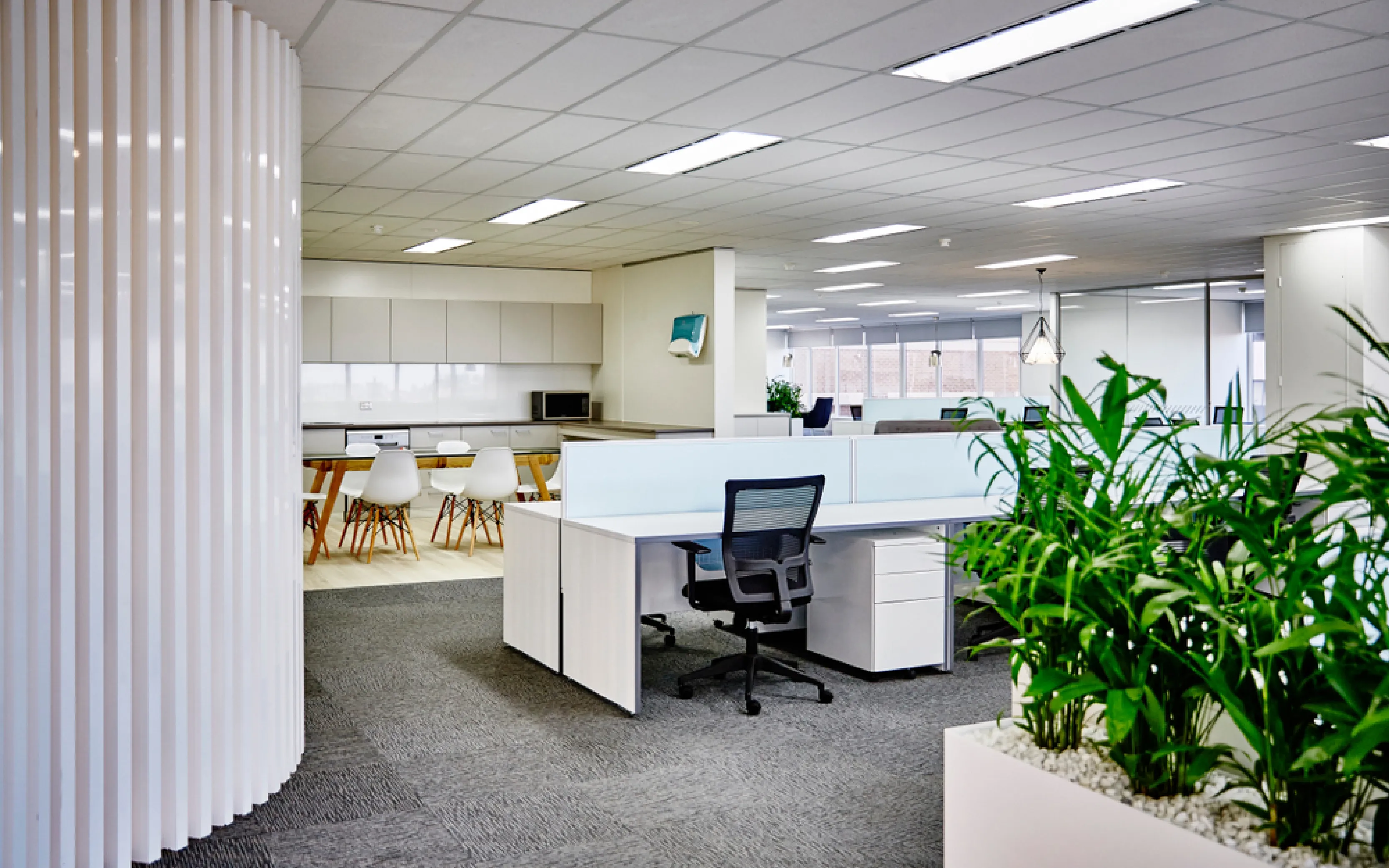 carpet cleaning in the suffolk, carpet cleaning in the suffolk, carpet cleaning the suffolk, carpet cleaners in the suffolk, carpet cleaners in the suffolk, commercial carpet cleaning, commercial carpet cleaning in the suffolk, the suffolk rug cleaners, rug cleaning services in the suffolk, same day carpet cleaning, same day rug cleaning