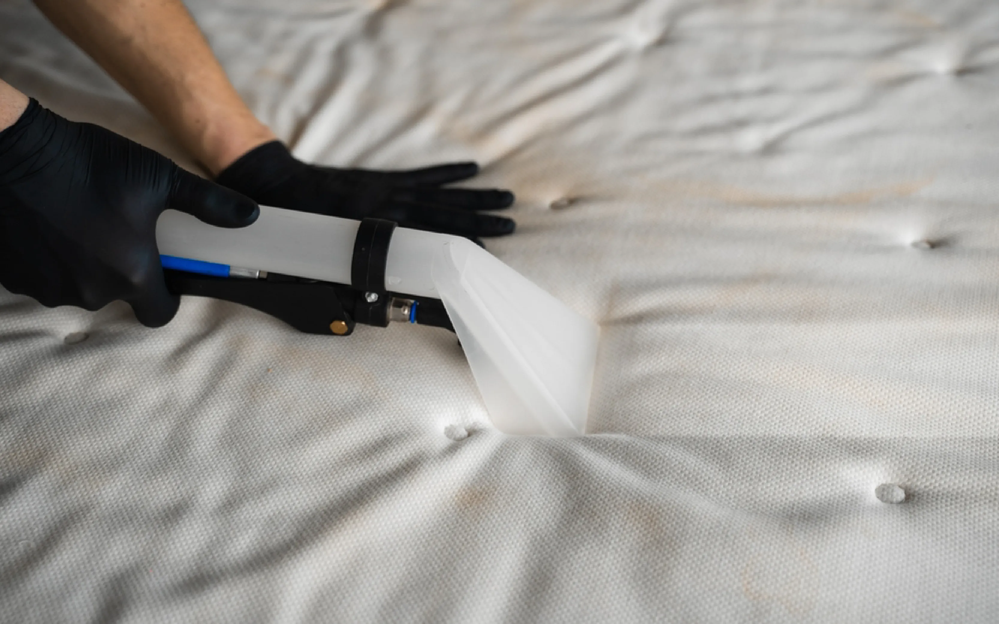 carpet cleaning in the suffolk, carpet cleaning in the suffolk, carpet cleaning the suffolk, carpet cleaners in the suffolk, carpet cleaners in the suffolk, commercial carpet cleaning, commercial carpet cleaning in the suffolk, the suffolk rug cleaners, rug cleaning services in the suffolk, same day carpet cleaning, same day rug cleaning
