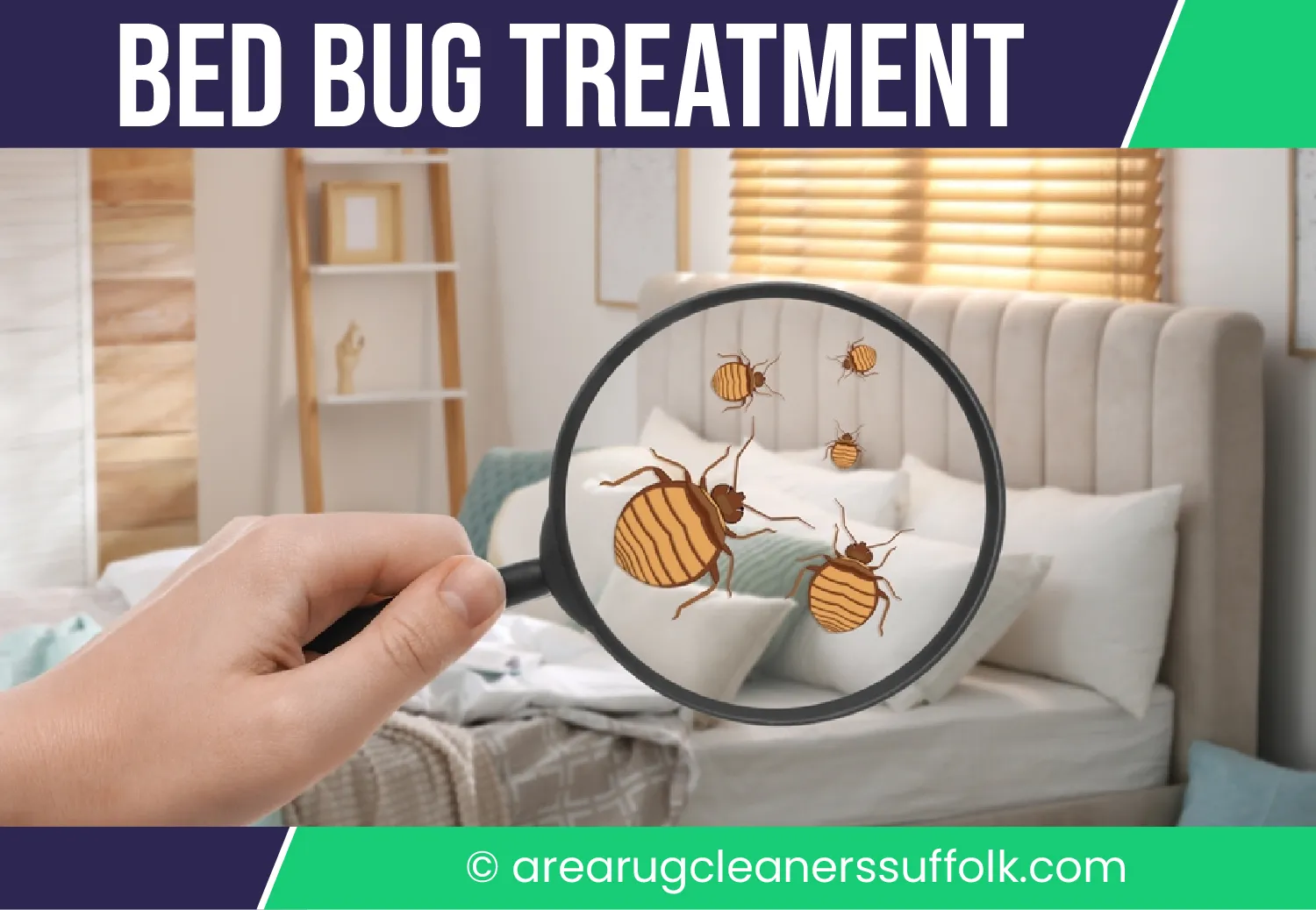 carpet cleaning in the suffolk, carpet cleaning in the suffolk, carpet cleaning the suffolk, carpet cleaners in the suffolk, carpet cleaners in the suffolk, commercial carpet cleaning, commercial carpet cleaning in the suffolk, the suffolk rug cleaners, rug cleaning services in the suffolk, same day carpet cleaning, same day rug cleaning